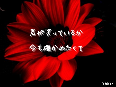�m�F
