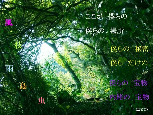 �l��̔閧��n