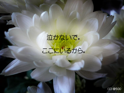 ������l��S���������Ȃ��� 