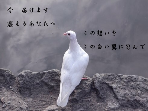 �`��